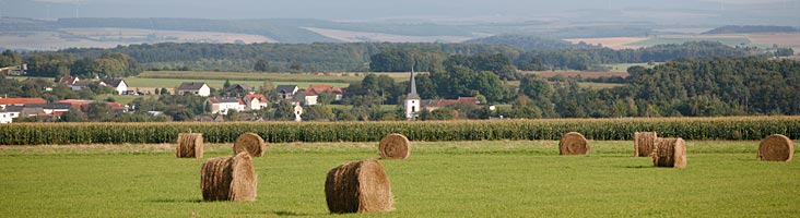 Ferschweiler Plateau