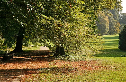 Schloss Dyck englischer Garten