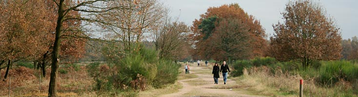 Herbstspaziergang in der Wahner Heide