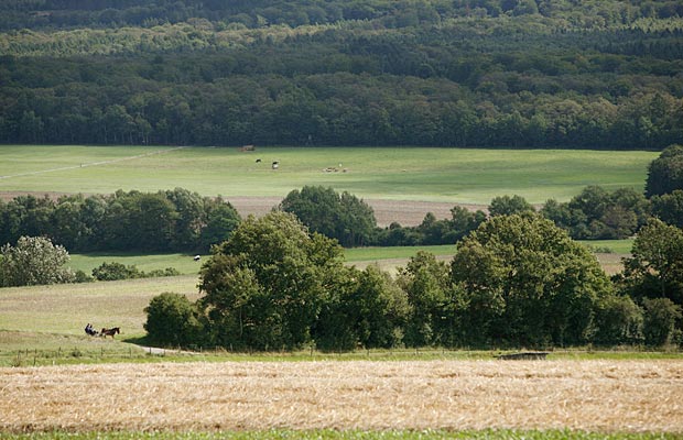 Hunsrück Landschaft