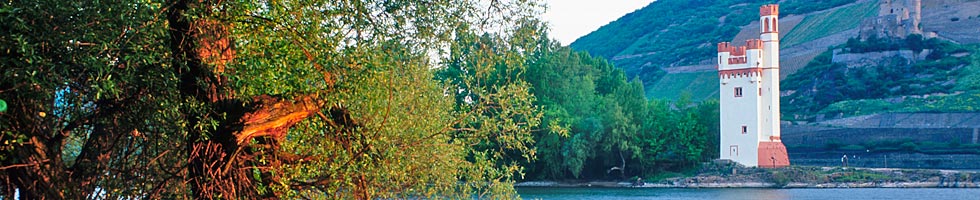 Mäuseturm bei Bingen